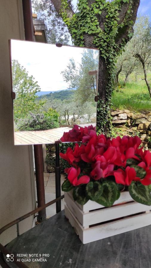 B&B La Casina Di Iris Arezzo Exterior foto
